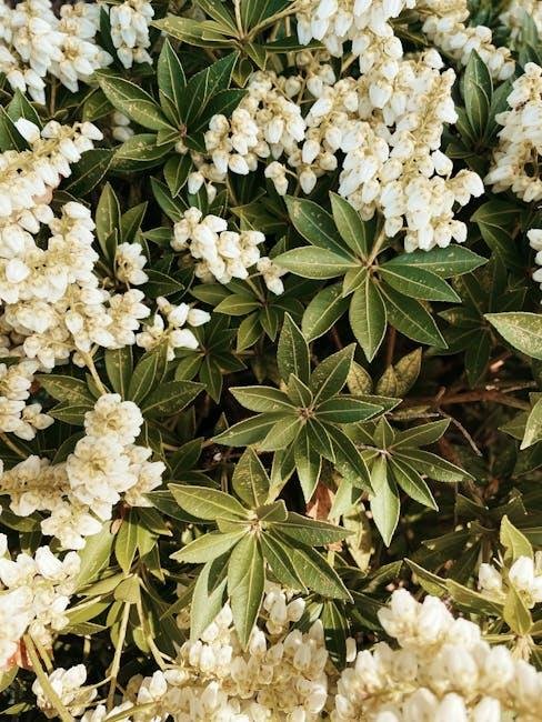 Accessorizing with ⁤Spring Florals: Tips for a Cohesive​ Look