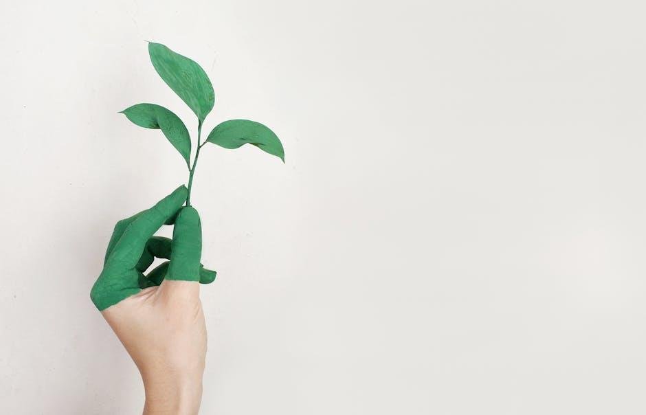 Sustainable Practices: How Minimalism Shapes Ethical Fashion Choices