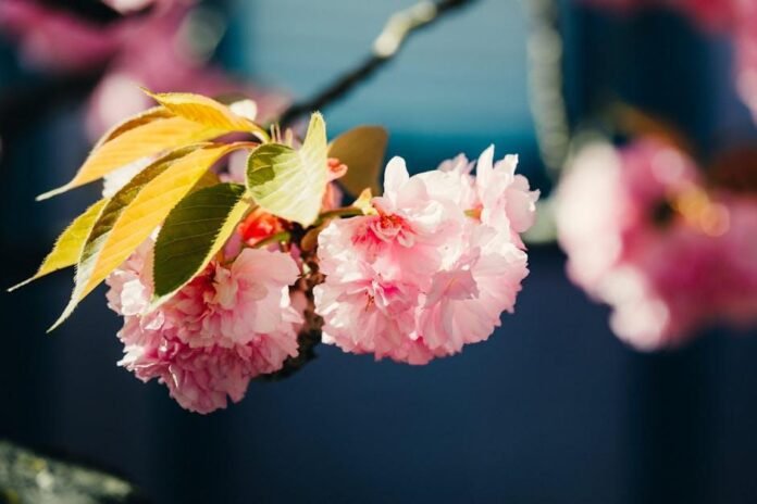 Spring Florals: How to Make Them Feel Fresh